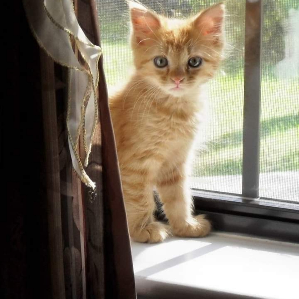 Welcome to my closet!